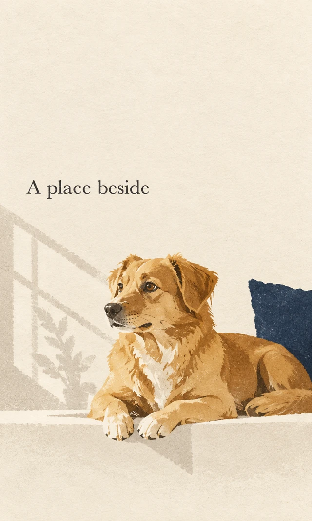 Illustrated poster of a resting dog, with abstract supporting shapes and a spacious paper composition.
