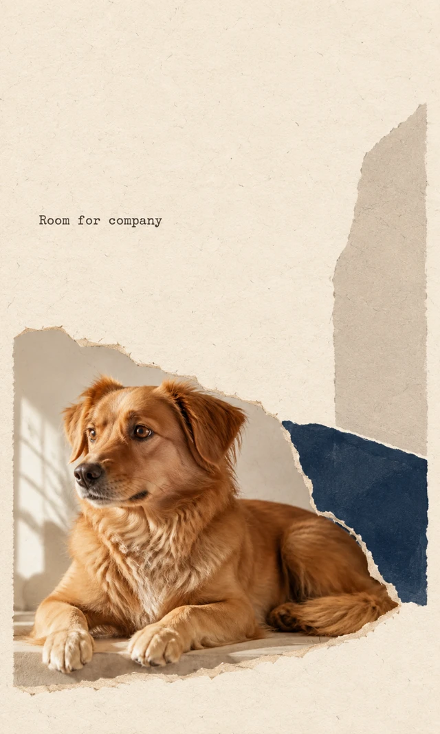 A golden dog rests in a torn photographic fragment low on cream paper. A blue cushion-derived shape and gray wall plane rise at right; small text reads “Room for company”.