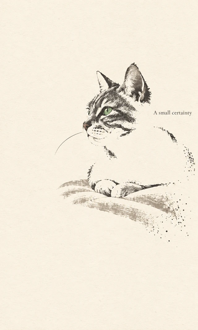 Minimal tabby-cat portrait focusing on familiar facial features and a simplified silhouette.