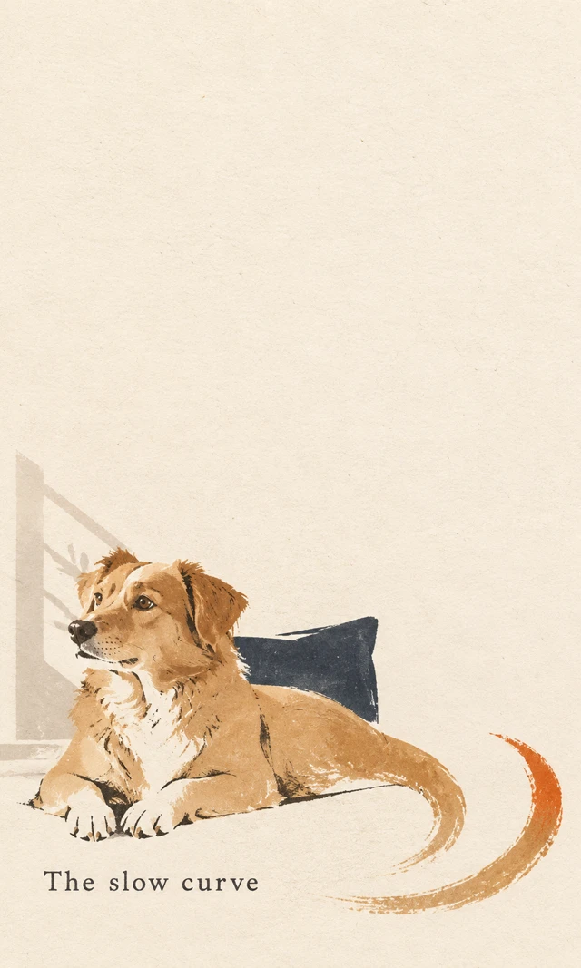 An illustrated dog with flowing, simplified curves in a spare paper-poster composition.
