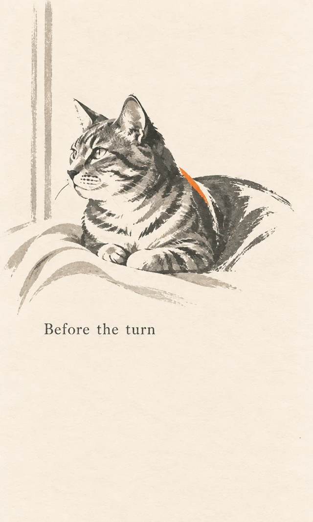 An abstract tabby-cat study using a few body curves and spare graphic marks on paper.