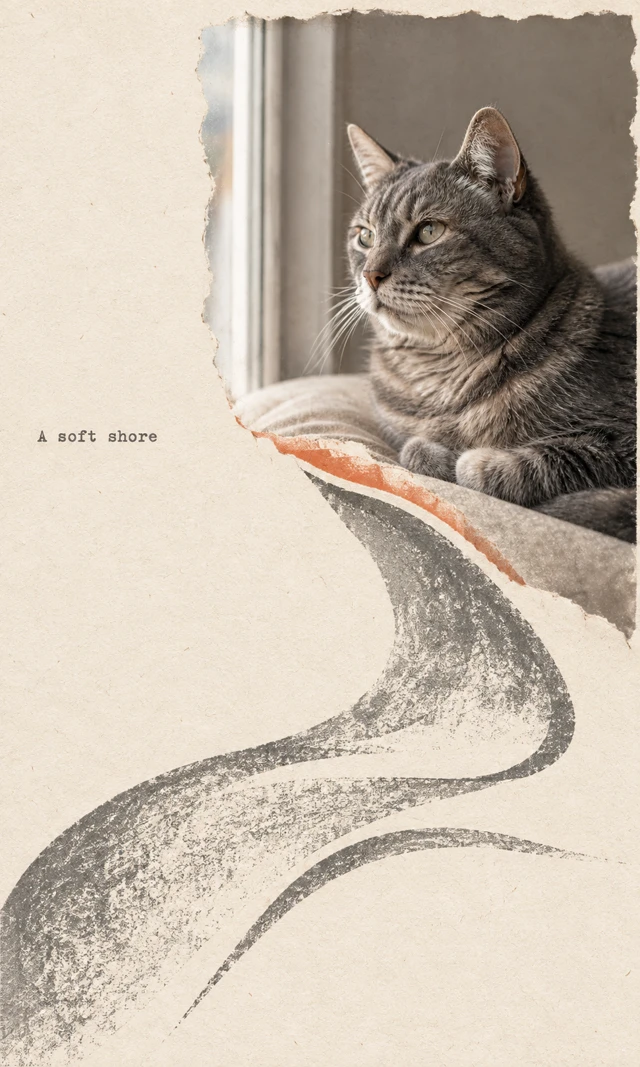 A tabby rests by a window in a torn photo at upper right. An orange seam and broad gray blanket-fold curves flow into empty cream paper beside “A soft shore”.