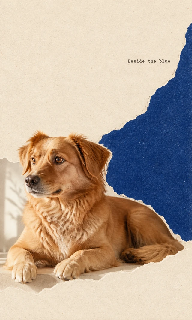 A golden dog rests across a torn photographic fragment at the bottom of cream paper. A large ultramarine cushion-derived shape rises at right; “Beside the blue” appears above.