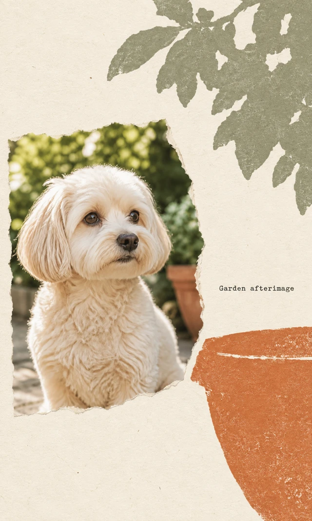 A cream dog photograph occupies a tall torn fragment at left. Broad gray garden leaves sit above an enlarged orange pot fragment at right; the words “Garden afterimage” rest between them.