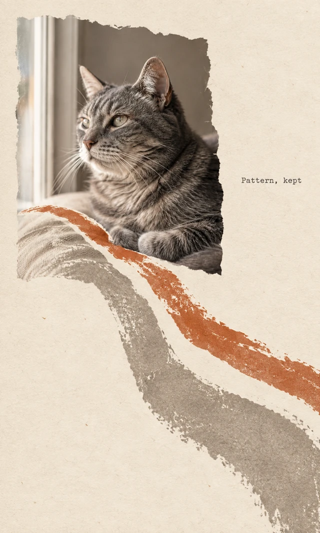 A tabby cat’s photographic face and tucked paws sit above a torn edge. Two broad orange and gray fold-like stripes flow diagonally into cream paper beside “Pattern, kept”.