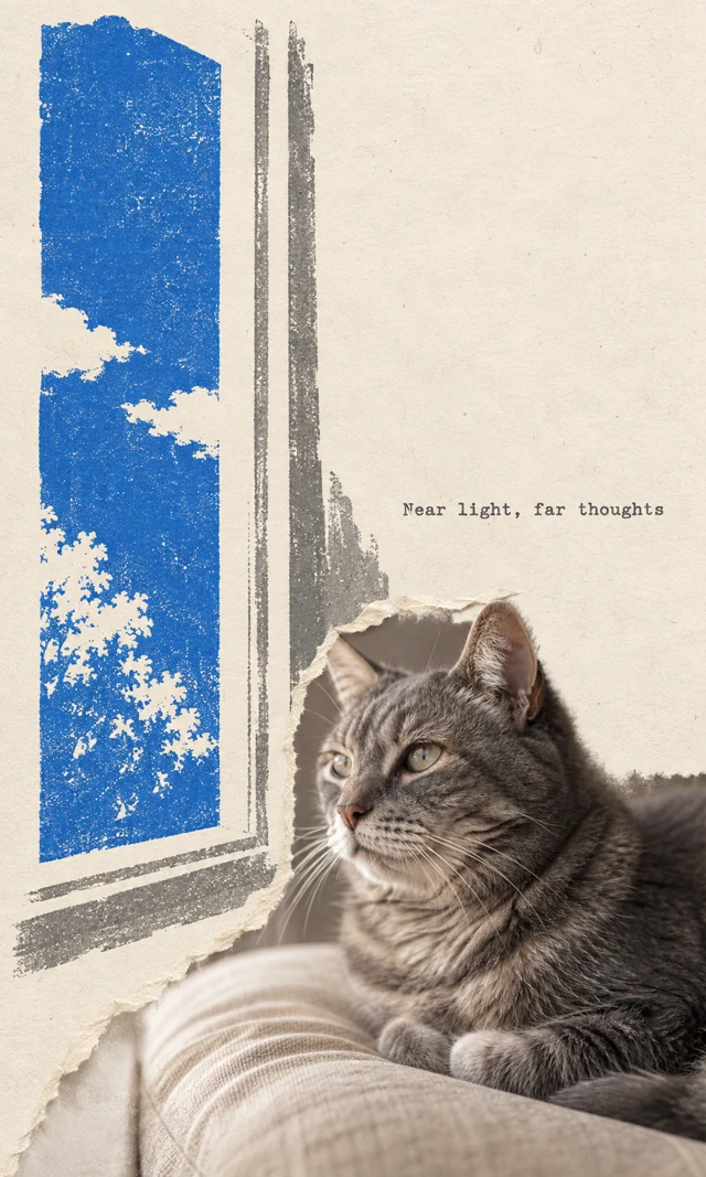 A tabby cat photograph rests at lower right below a torn fiber edge. Tall cobalt and gray window forms open upward on cream paper; text reads “Near light, far thoughts”.