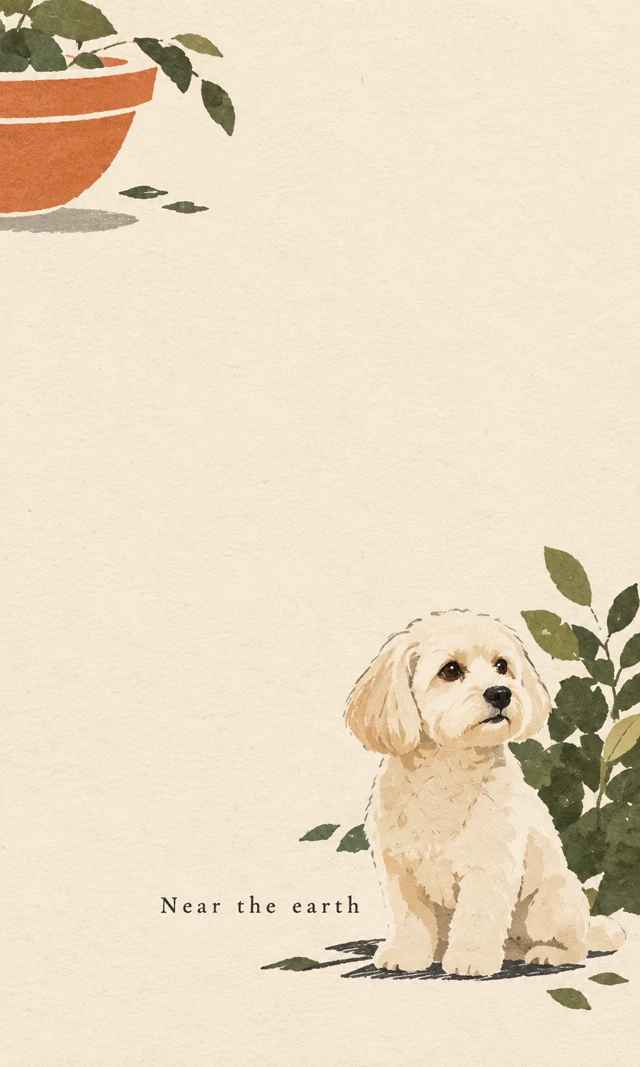 A small dog and garden-inspired curves in a spare, illustrated paper poster.