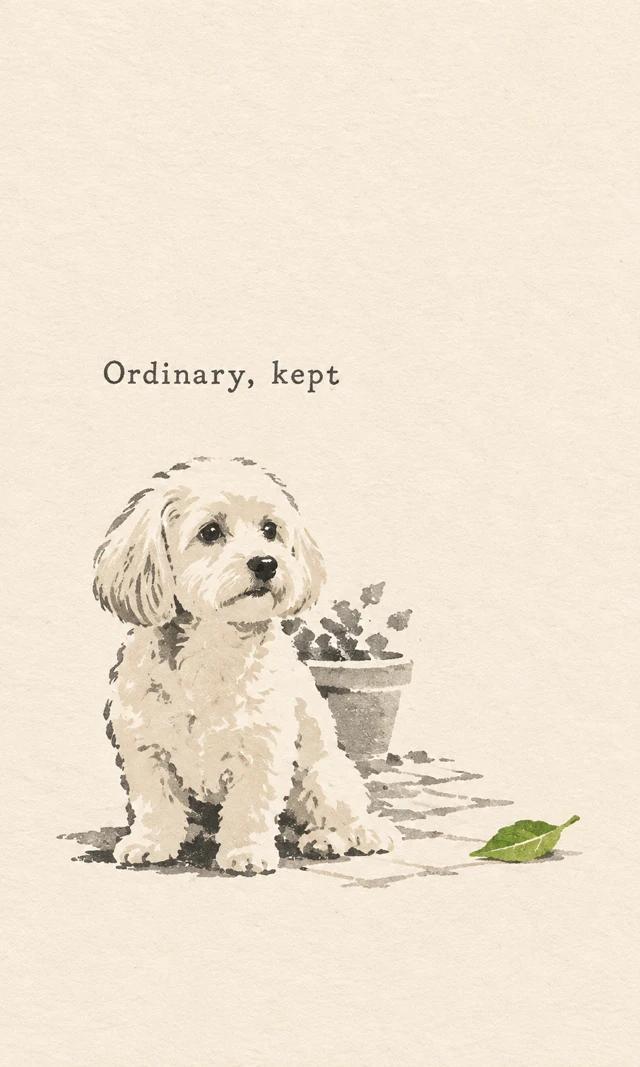 Minimal dog illustration with garden-inspired accents and generous paper space.