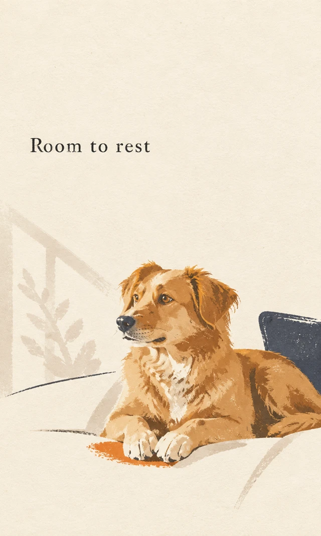 Abstract illustration of a resting dog, using simplified shapes and spare marks on a paper-like background.