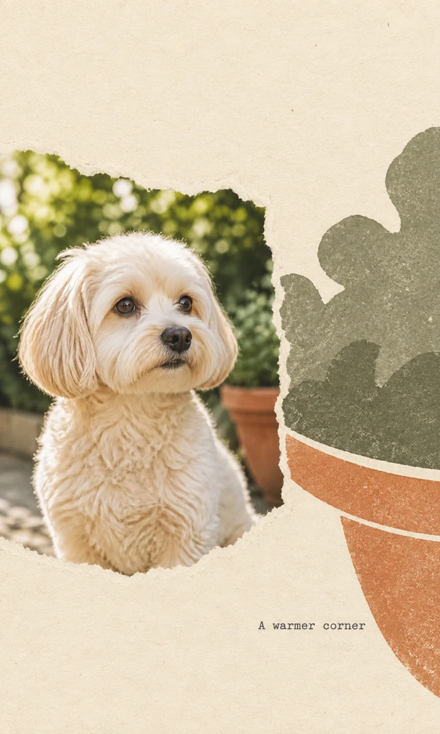 Cream dog photograph in a torn left-hand paper opening, beside an enlarged terracotta pot and broad gray-green foliage shapes; “A warmer corner” appears below.